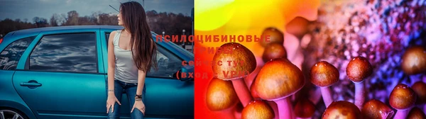 не бодяженный Армянск