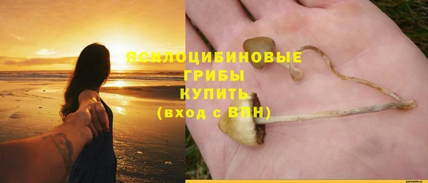 MESCALINE Аркадак