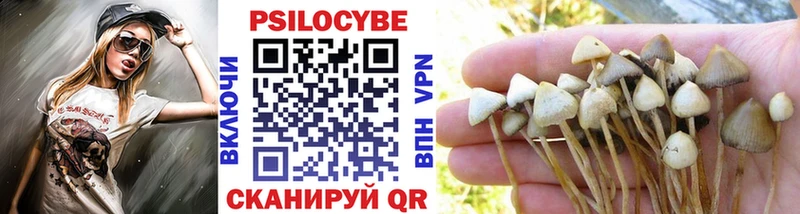 Галлюциногенные грибы Magic Shrooms  Дорогобуж 